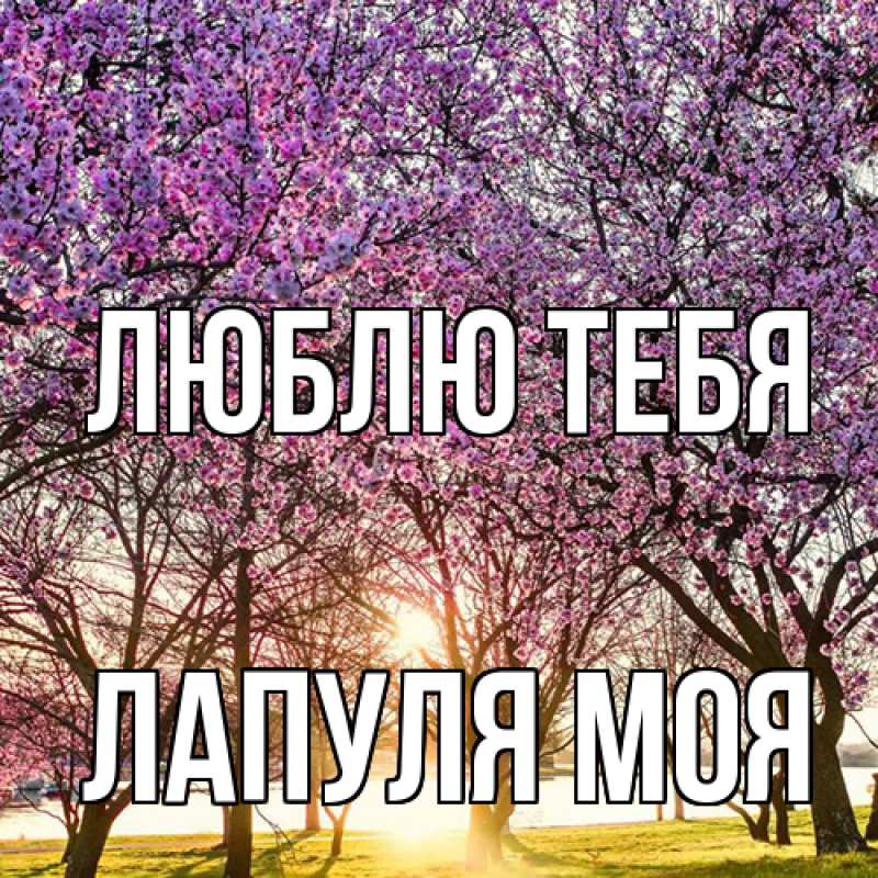 Картинка Люблю тебя, Лапуля моя