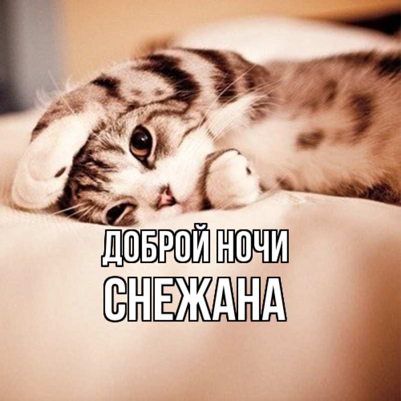 Картинка Доброй ночи, Снежана