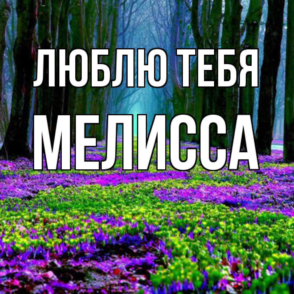 Открытка на каждый день с именем, Мелисса Люблю тебя фиолетовые цветы в лесу 1 Прикольная открытка с пожеланием онлайн скачать бесплатно 