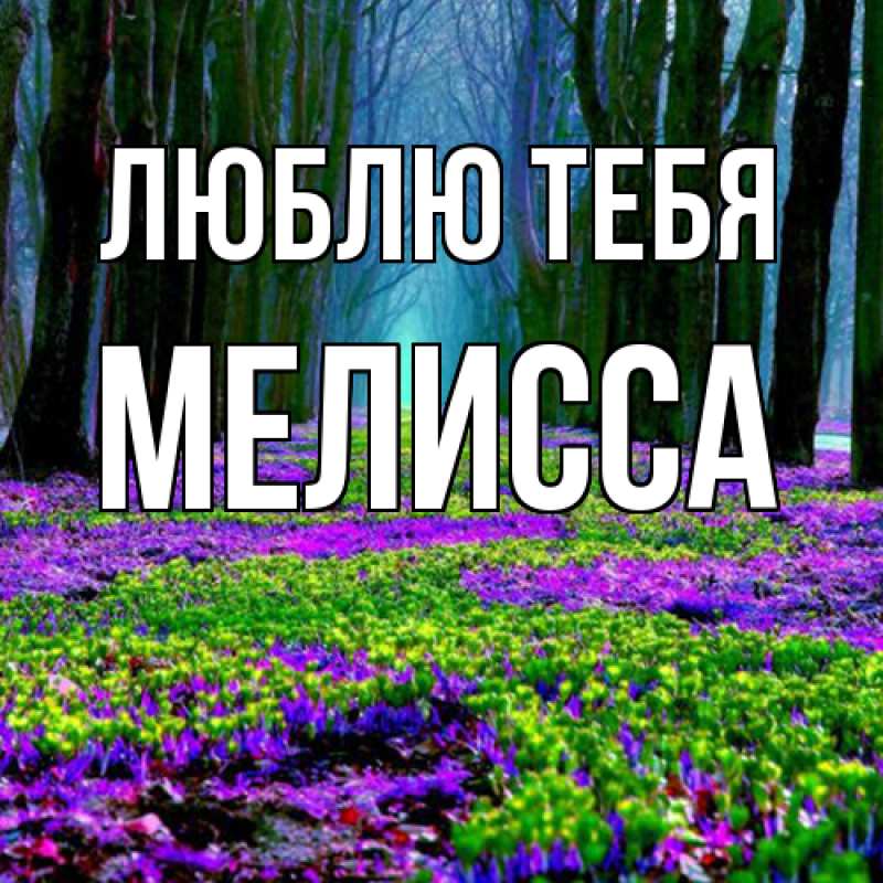Картинка Люблю тебя, Мелисса