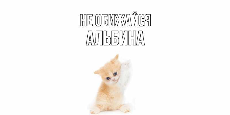 Картинка Не обижайся, Альбина