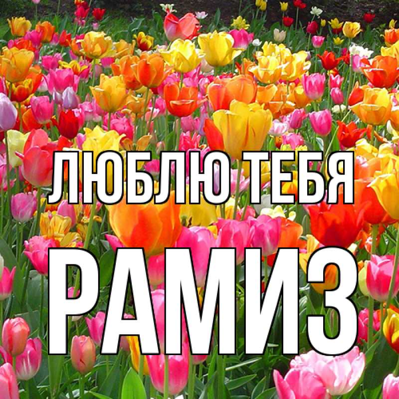 Открытка с именем, Рамиз, Люблю тебя