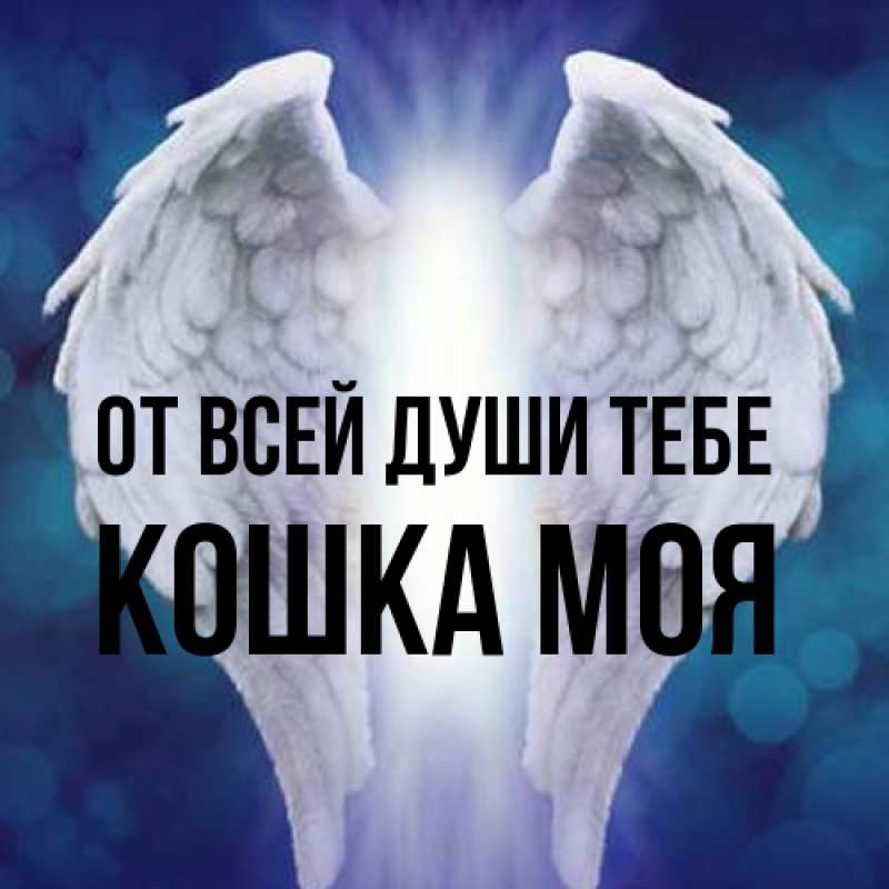 Картинка От всей души тебе, Кошка моя