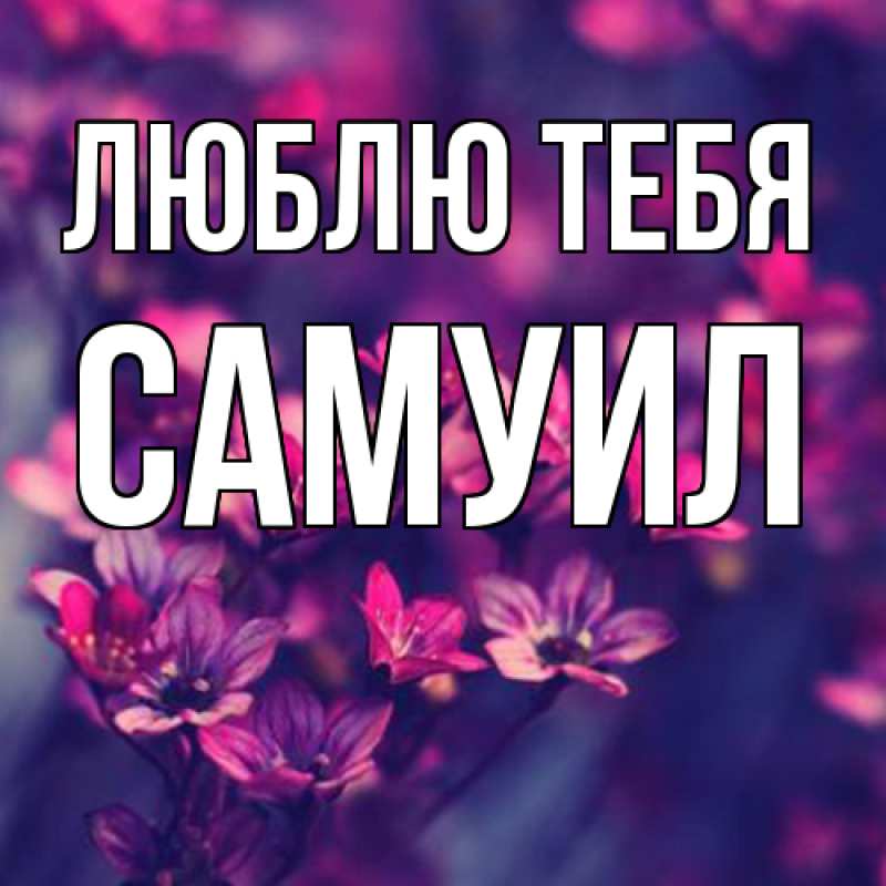 Картинка Люблю тебя, Самуил
