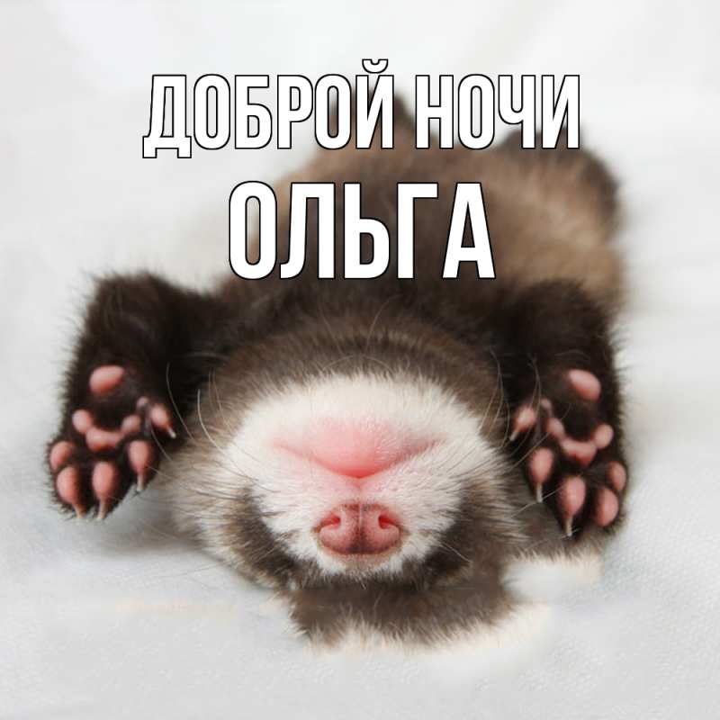 Картинка Доброй ночи, Ольга