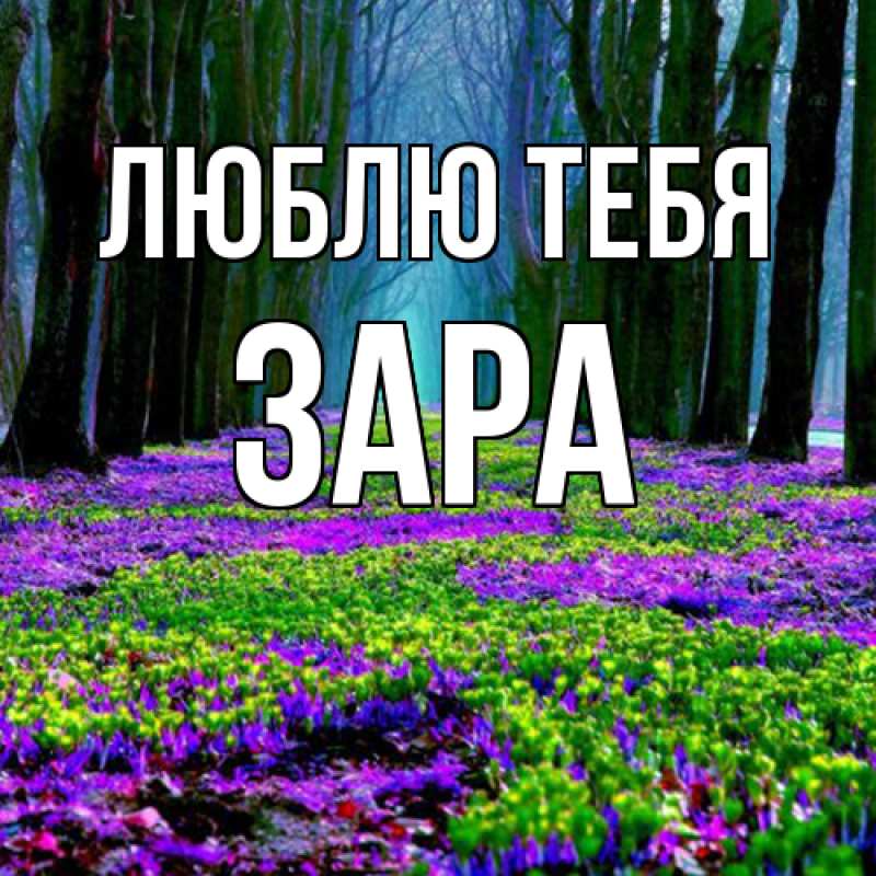 Картинка Люблю тебя, Зара