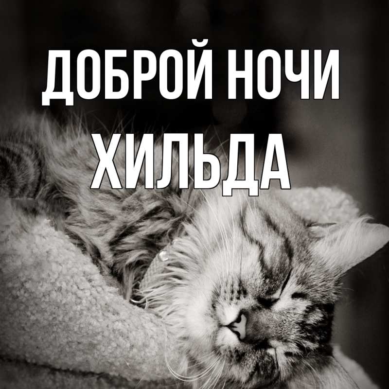 Картинка Доброй ночи, Хильда