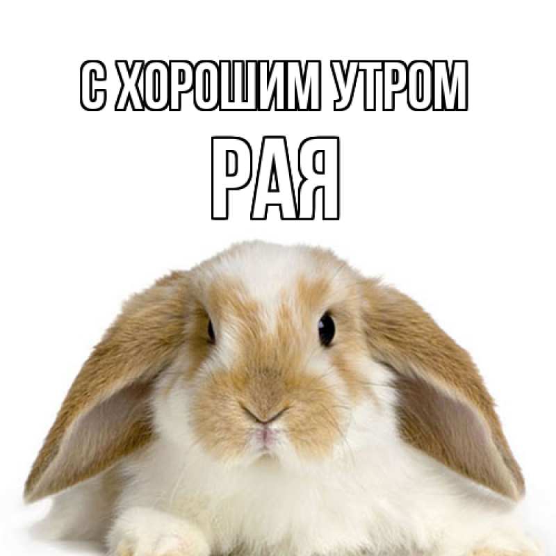Картинка С хорошим утром, Рая
