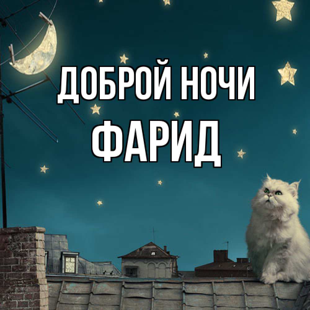 Открытка на каждый день с именем, Фарид Доброй ночи белый кот сидит на крыше Прикольная открытка с пожеланием онлайн скачать бесплатно 