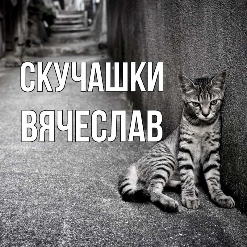 Открытка с именем, Вячеслав, Скучашки