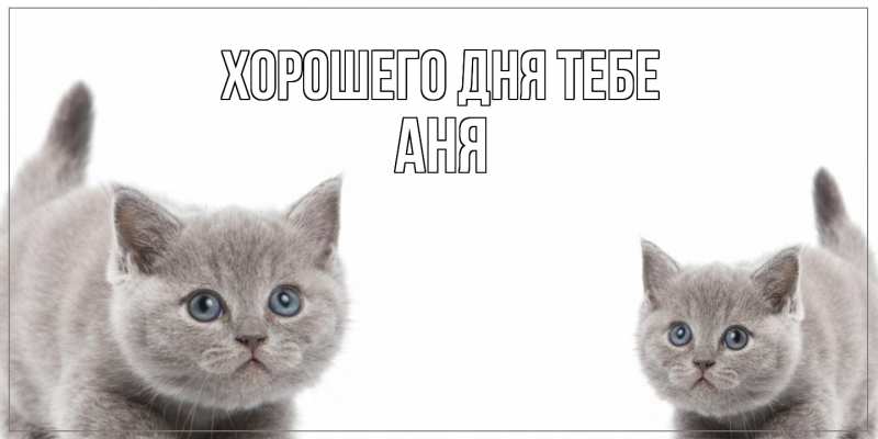 Картинка Хорошего дня тебе, Аня