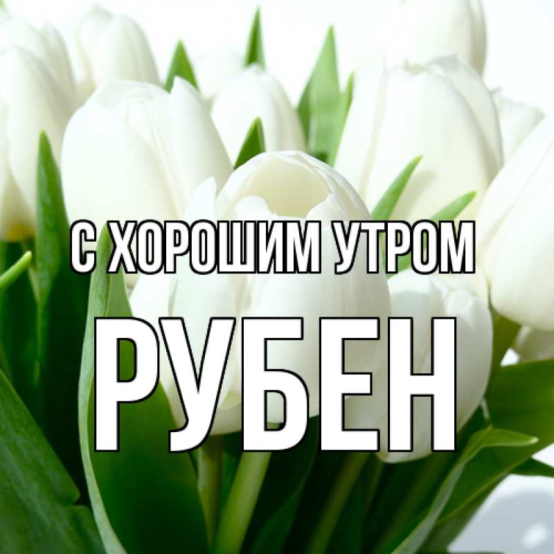 Картинка С хорошим утром, Рубен