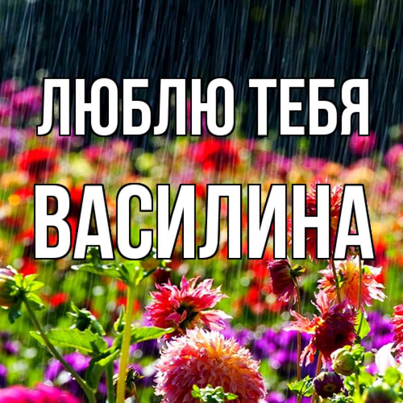 Картинка Люблю тебя, Василина