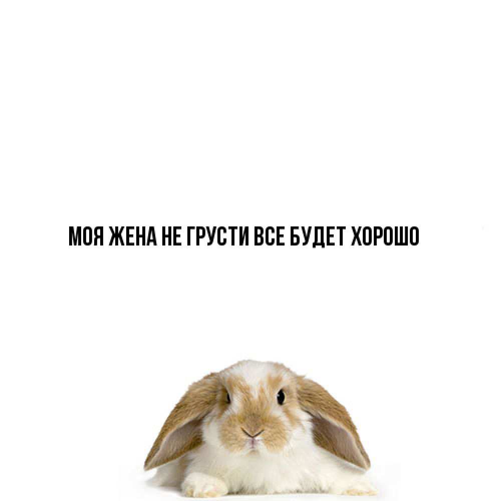 Открытка на каждый день с именем, Моя-жена Не грусти все будет хорошо коричнево белый заяц с большими ушками Прикольная открытка с пожеланием онлайн скачать бесплатно 