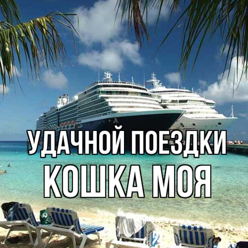 Картинка Удачной поездки, Кошка моя