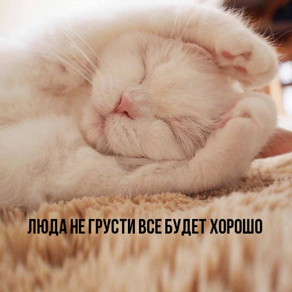 Открытка на каждый день с именем, Люда Не грусти, все будет хорошо Котенок спит Прикольная открытка с пожеланием онлайн скачать бесплатно 