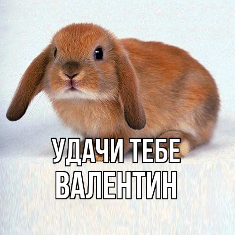 Картинка Удачи тебе, Валентин