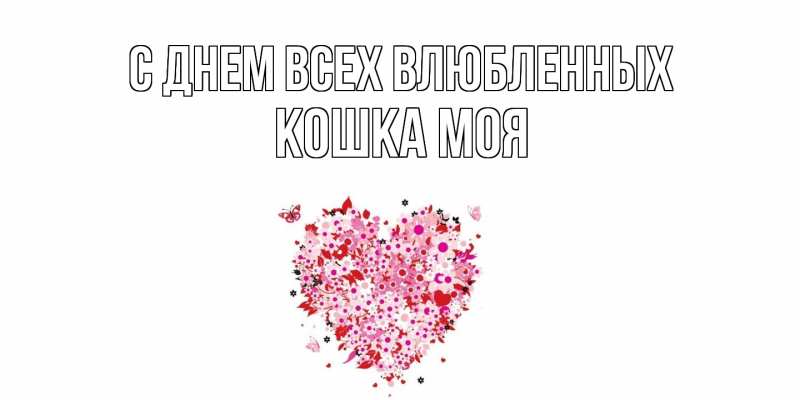 Картинка С днем всех влюбленных, Кошка моя