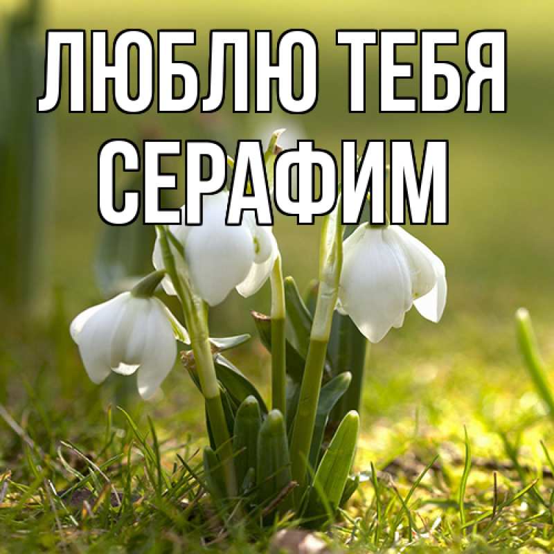Открытка с именем, Серафим, Люблю тебя
