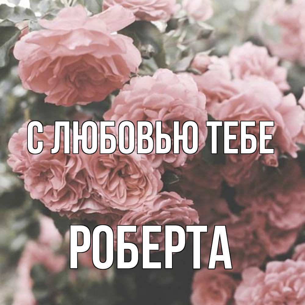 Открытка на каждый день с именем, Роберта С любовью тебе розы 3 Прикольная открытка с пожеланием онлайн скачать бесплатно 