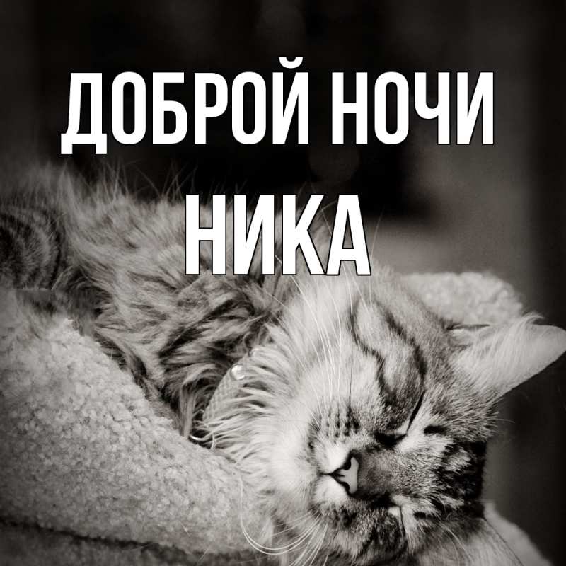 Картинка Доброй ночи, Ника