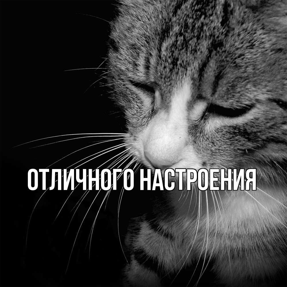 Открытка на каждый день с именем, Песподобная Скучашки мне скучно Прикольная открытка с пожеланием онлайн скачать бесплатно 