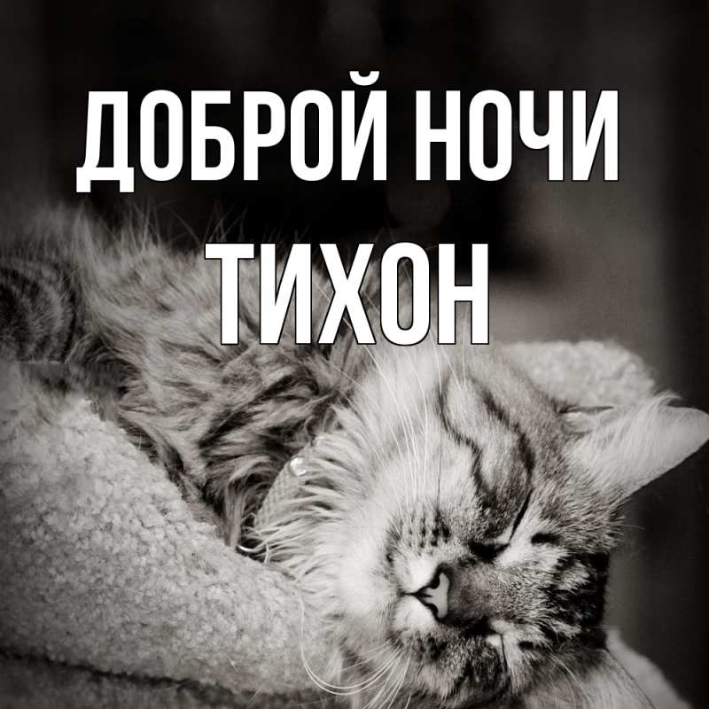 Картинка Доброй ночи, Тихон