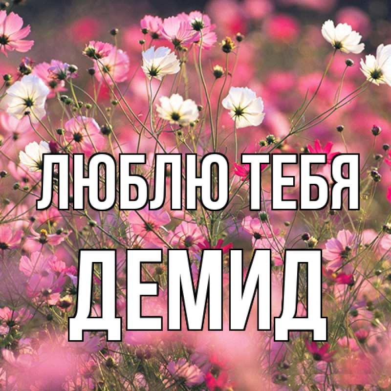 Картинка Люблю тебя, Демид