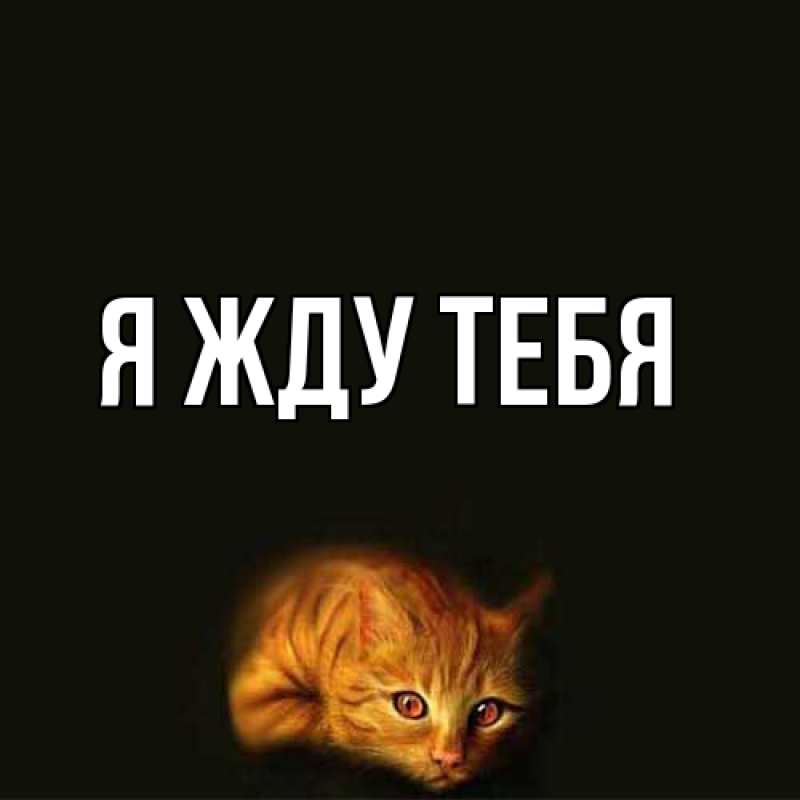 Открытка с подписью, открытка-бесплатно, Я жду тебя