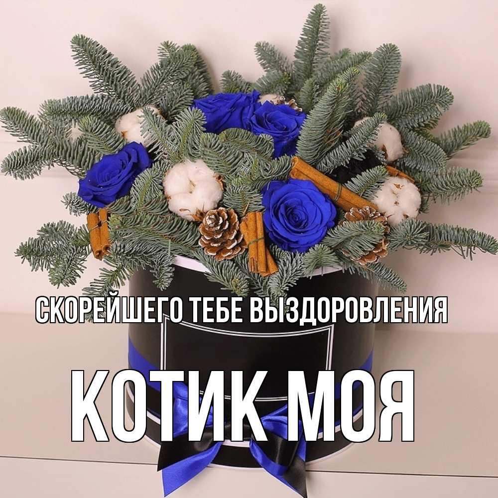 Открытка на каждый день с именем, Котик-моя Скорейшего тебе выздоровления короче кто то загрузил эти шишки Прикольная открытка с пожеланием онлайн скачать бесплатно 