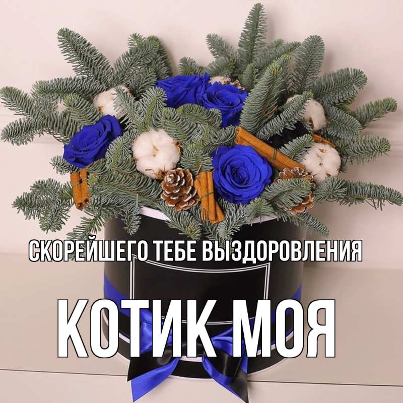 Картинка Скорейшего тебе выздоровления, Котик моя