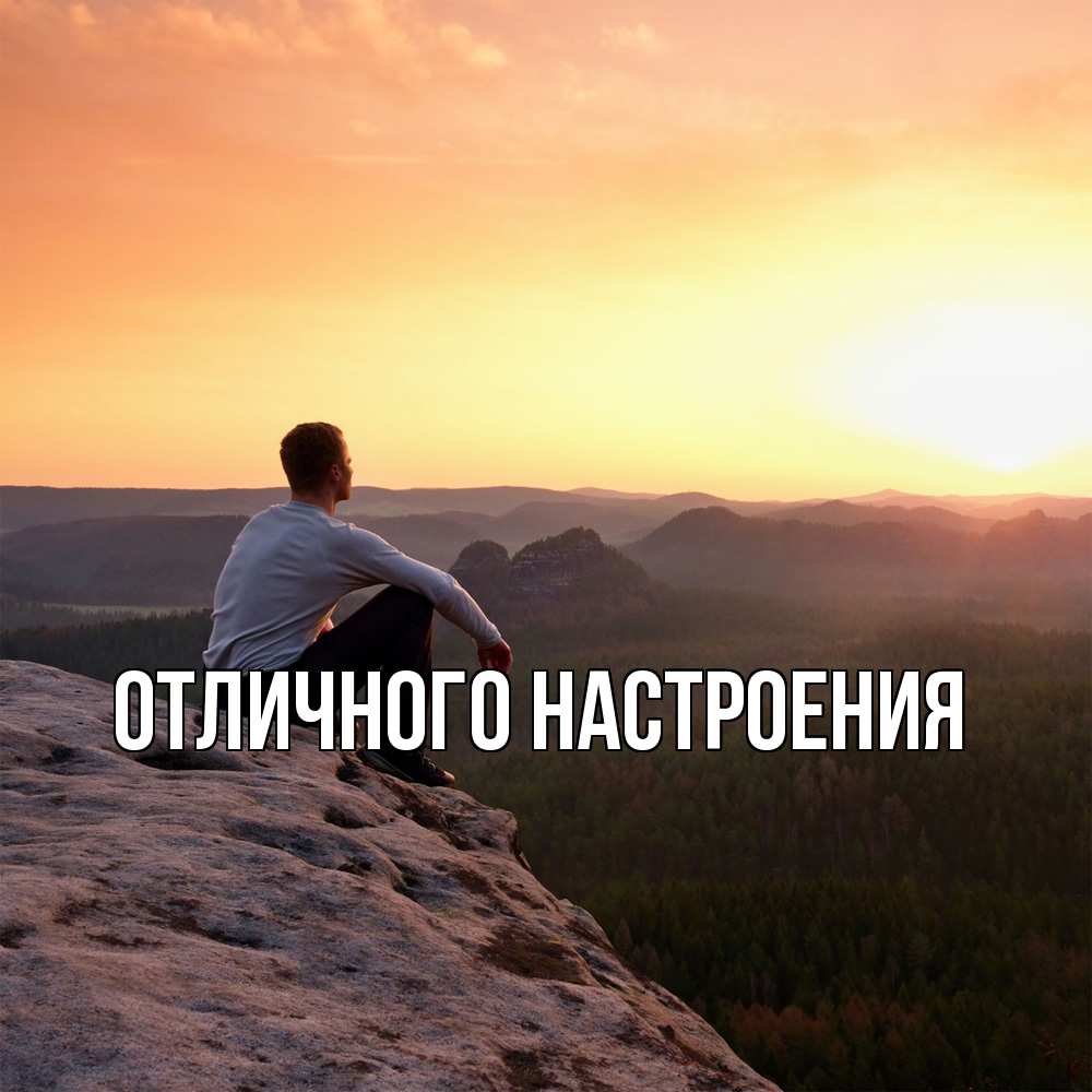 Открытка на каждый день с именем, Песподобная Скучашки открытка про скучашки 1 Прикольная открытка с пожеланием онлайн скачать бесплатно 