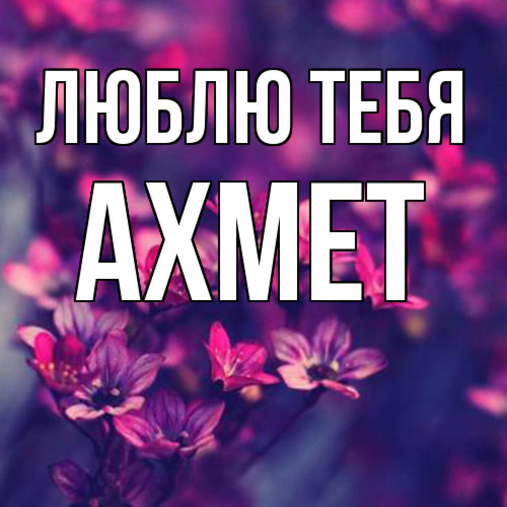 Открытка на каждый день с именем, Ахмет Люблю тебя небольшие цветы 1 Прикольная открытка с пожеланием онлайн скачать бесплатно 