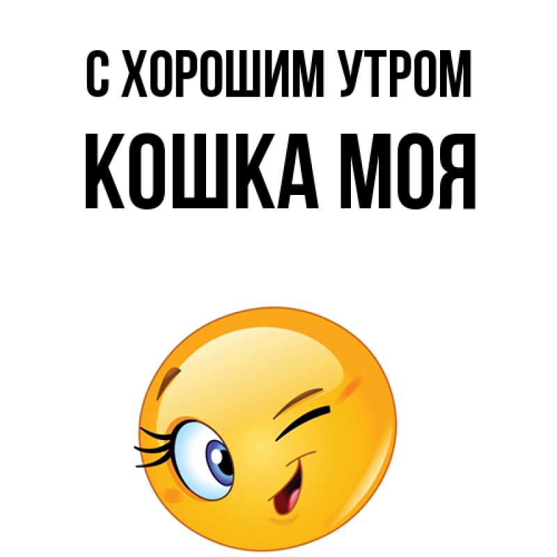 Картинка С хорошим утром, Кошка моя