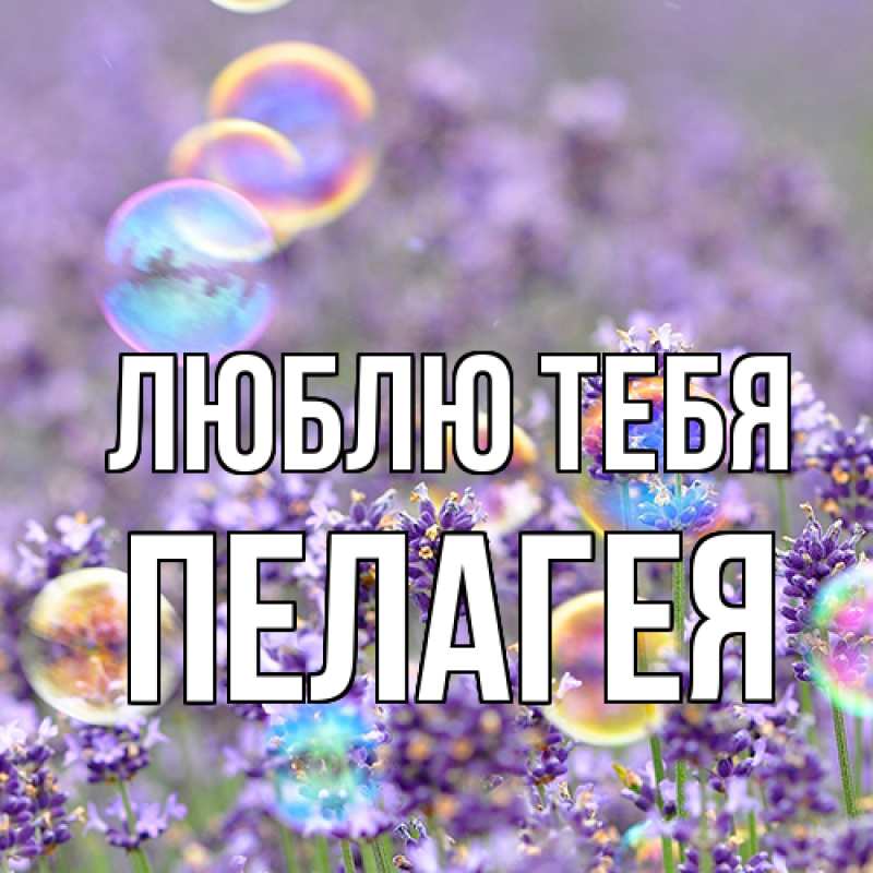 Картинка Люблю тебя, Пелагея