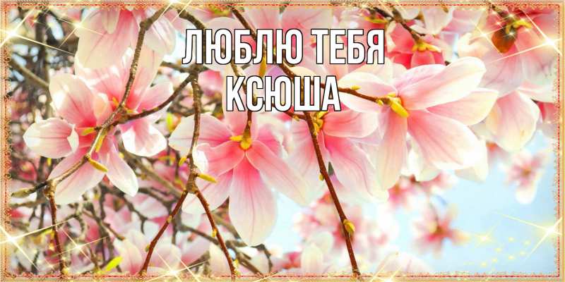 Картинка Люблю тебя, Ксюша