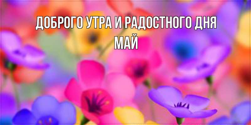 Картинка Доброго утра и радостного дня, Май