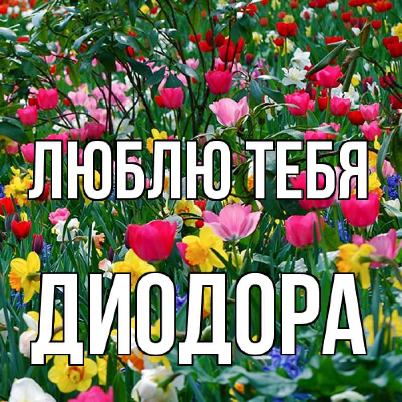 Открытка с именем, Диодора, Люблю тебя