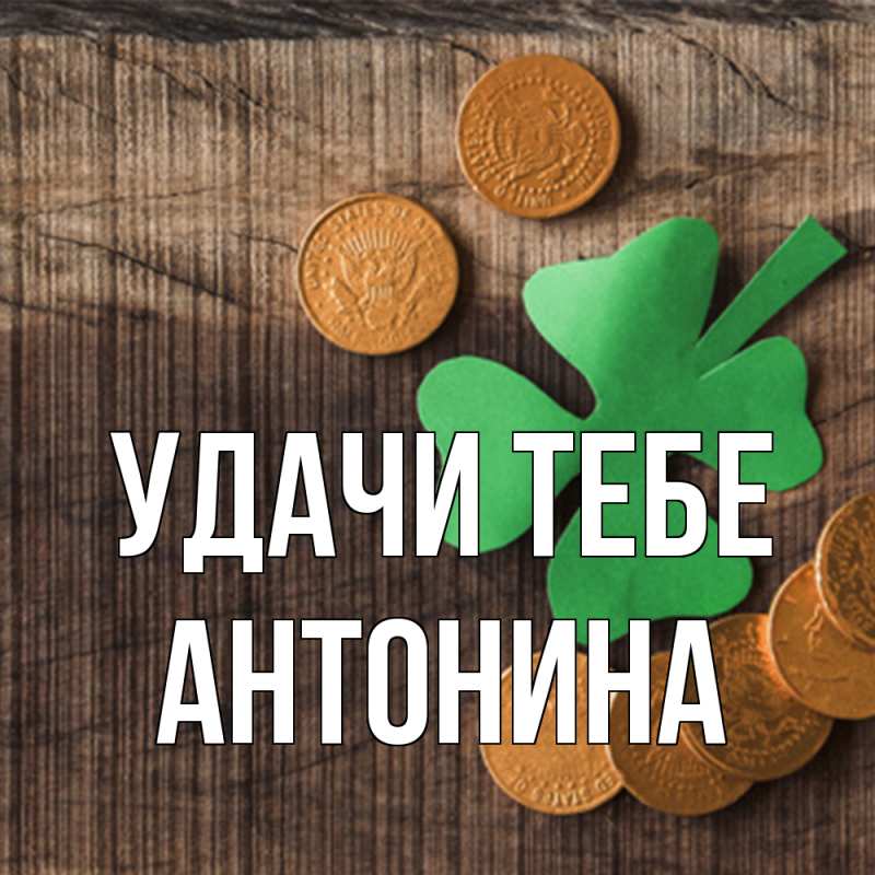 Картинка Удачи тебе, Антонина
