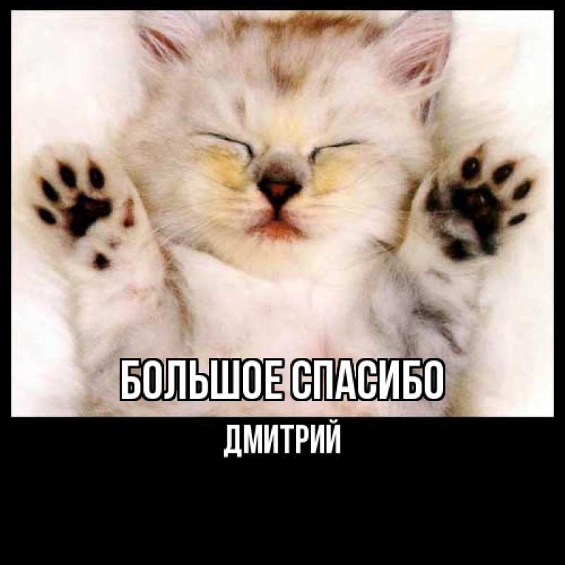 Картинка Большое спасибо, Дмитрий