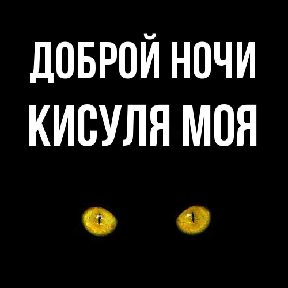 Открытка на каждый день с именем, Кисуля-моя Доброй ночи сладких снов бесстрашный мой дружочек Прикольная открытка с пожеланием онлайн скачать бесплатно 