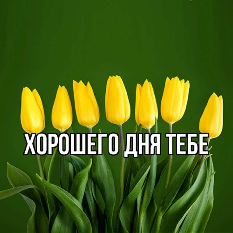Картинка Люблю тебя, Гордон