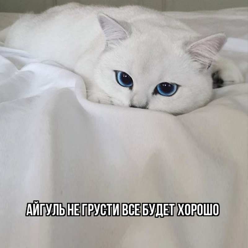 Открытка с именем, Айгуль, Не грусти, все будет хорошо