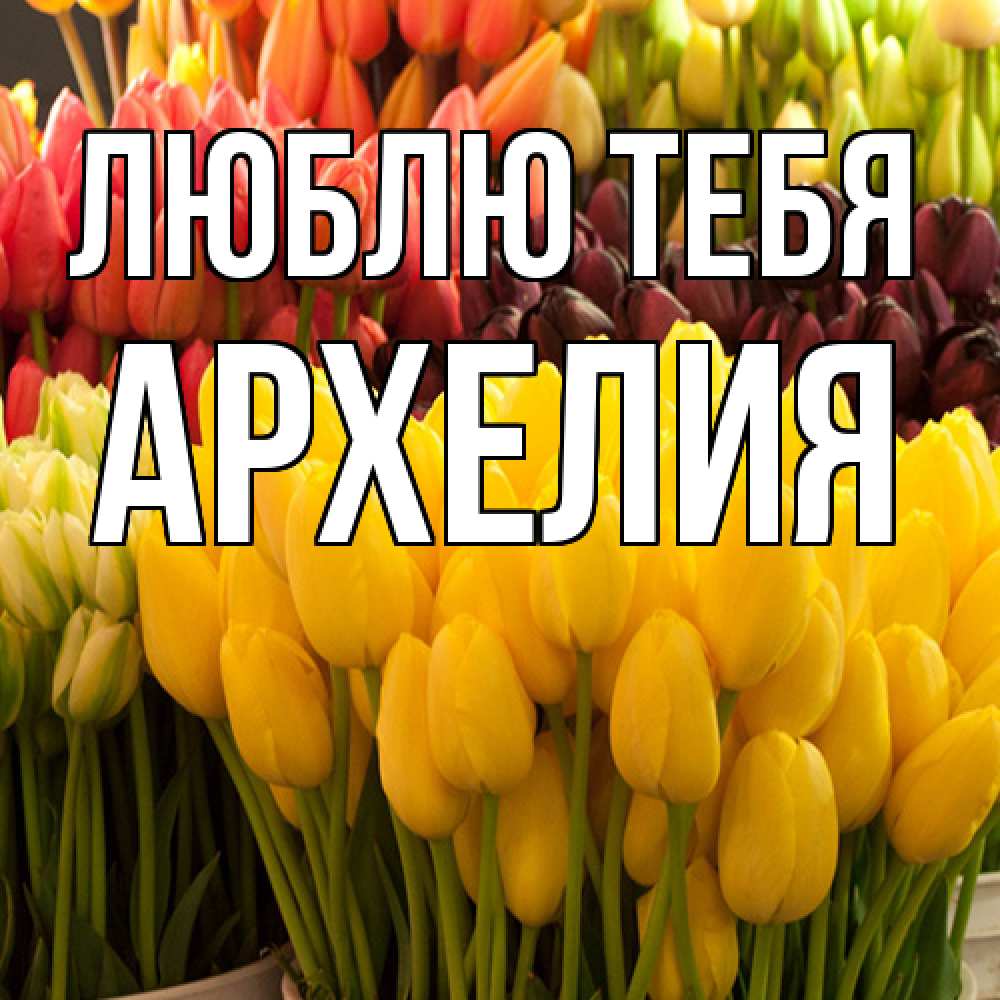 Открытка на каждый день с именем, Архелия Люблю тебя цветы Прикольная открытка с пожеланием онлайн скачать бесплатно 