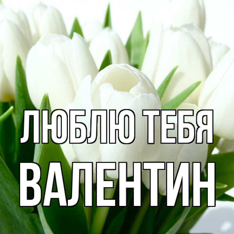 Картинка Люблю тебя, Валентин