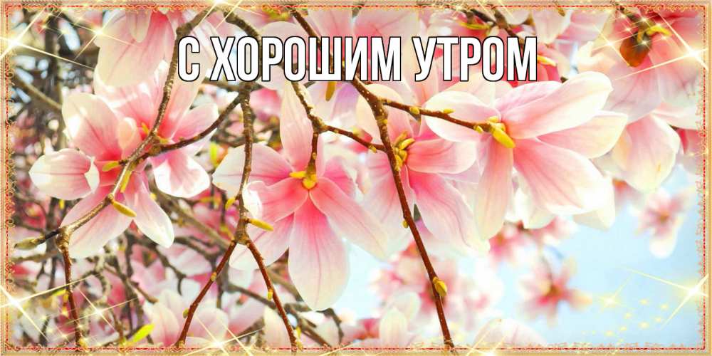 Открытка на каждый день с именем, Котя Люблю тебя цветы деревьев на 8 марта Прикольная открытка с пожеланием онлайн скачать бесплатно 