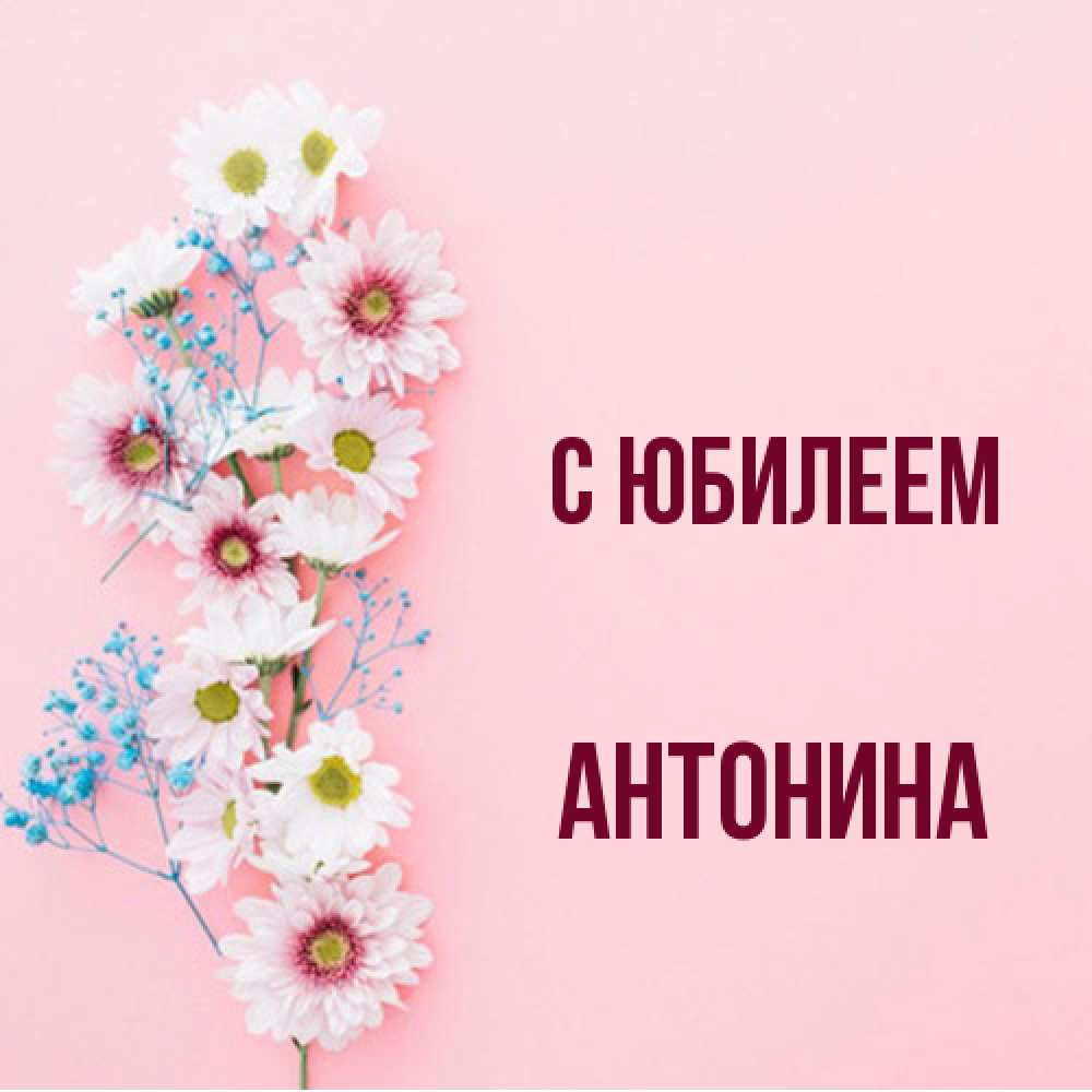 Открытка на каждый день с именем, Антонина C юбилеем Родная моя с днем рождения тебя картинка с цветами белыми и голубыми Прикольная открытка с пожеланием онлайн скачать бесплатно 