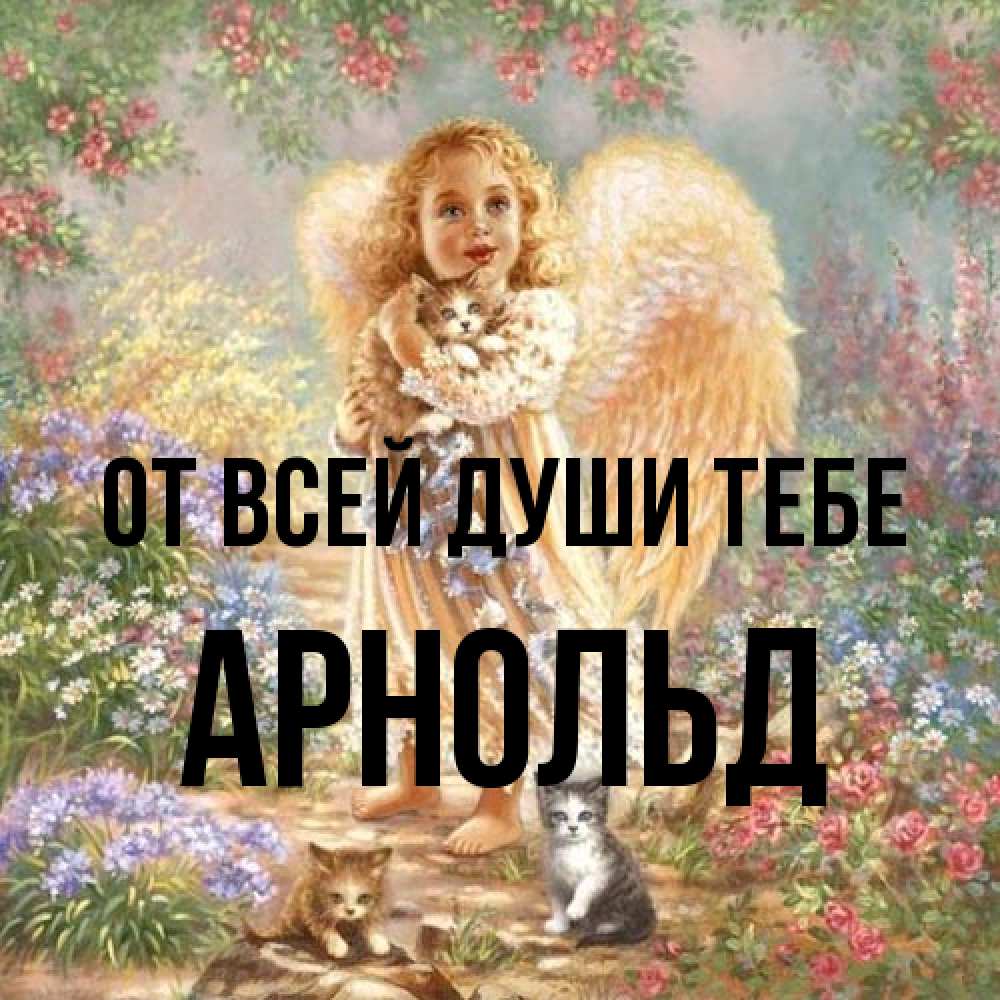 Открытка на каждый день с именем, Арнольд От всей души тебе держит котенка Прикольная открытка с пожеланием онлайн скачать бесплатно 