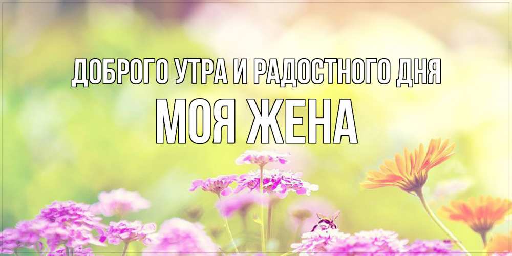 Открытка на каждый день с именем, Моя-жена Доброго утра и радостного дня красивая открытка с летней темой Прикольная открытка с пожеланием онлайн скачать бесплатно 