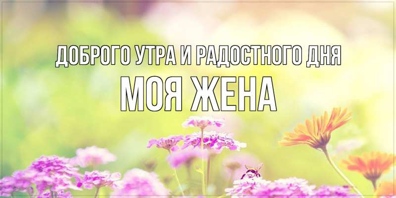 Картинка Доброго утра и радостного дня, Моя жена
